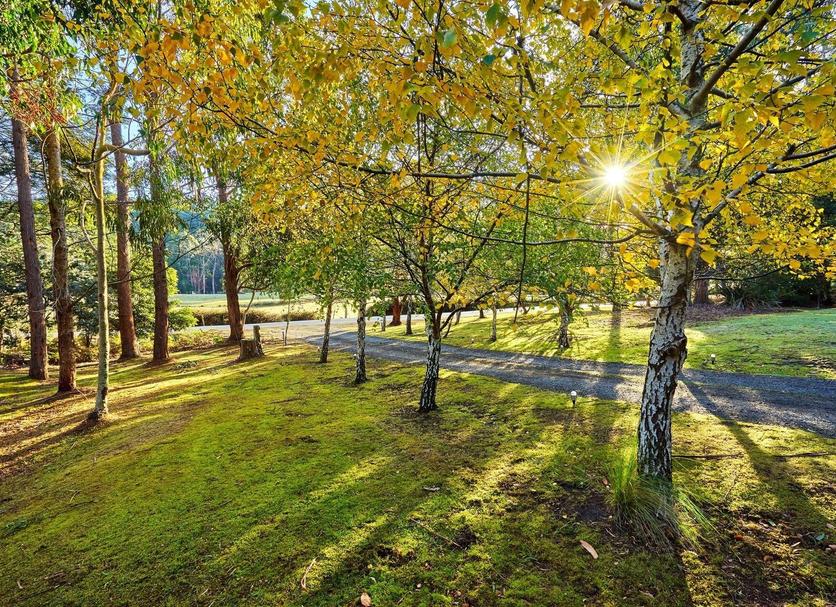 Outdoor view Photo