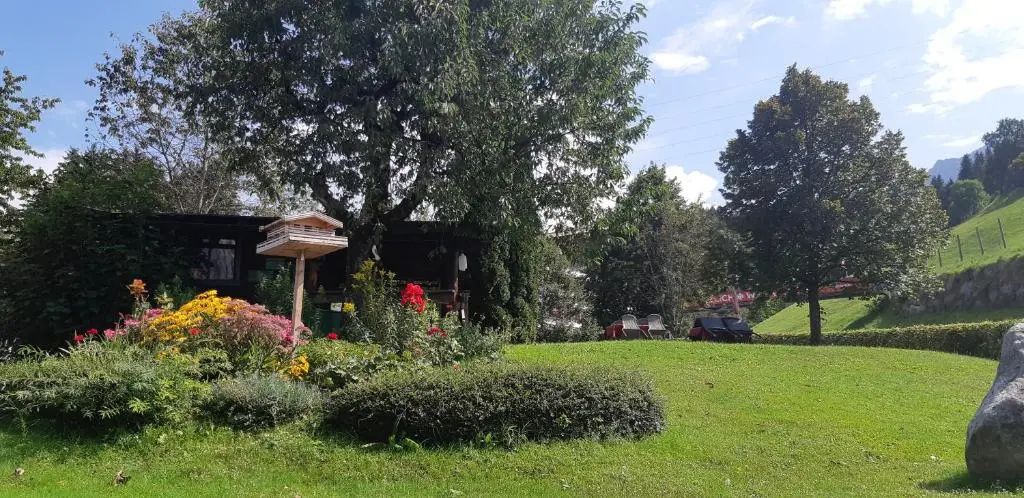 Outdoor view