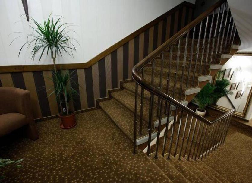 Stairs Photo