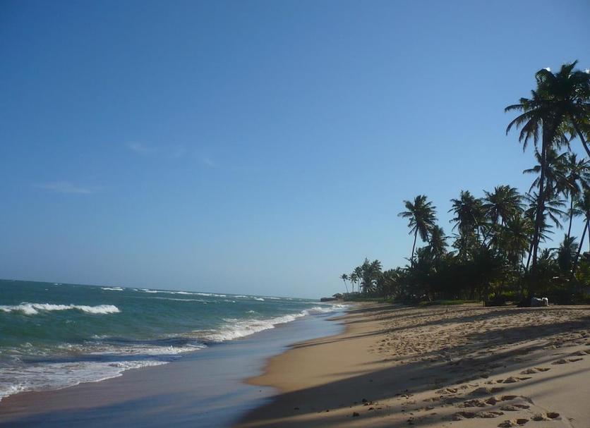 Beach Photo