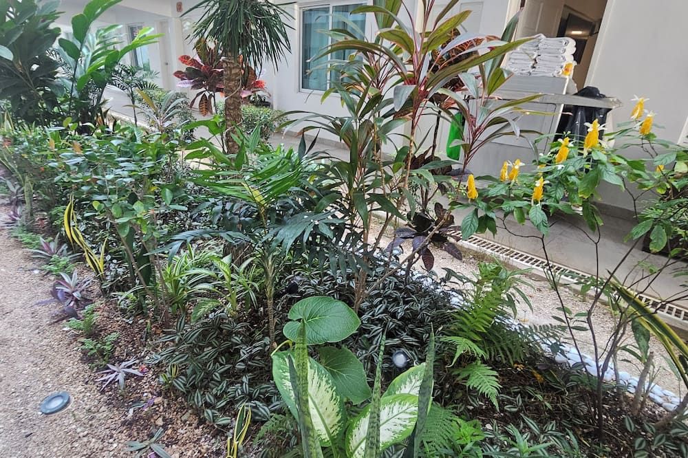 Outdoor view