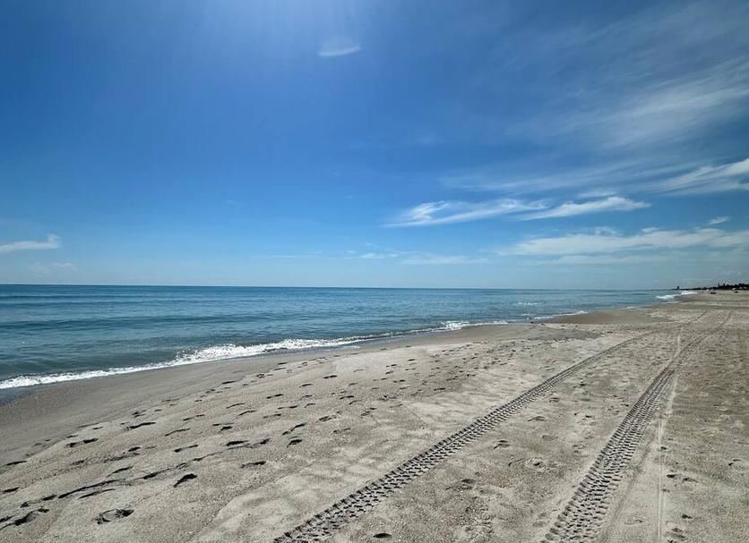 Beach Photo