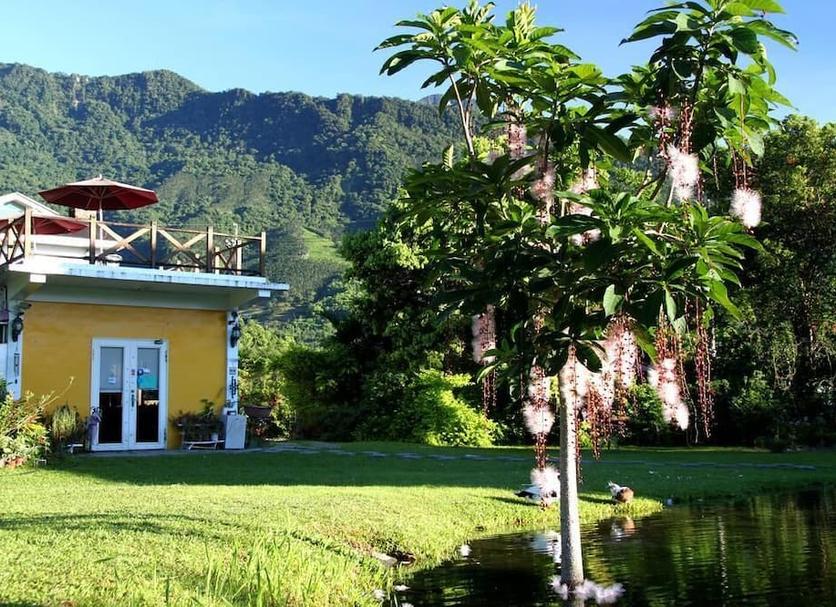 Outdoor view Photo
