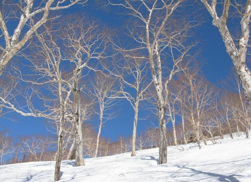 Other Photo