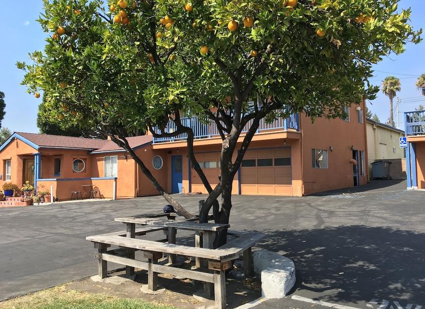 Other Photo