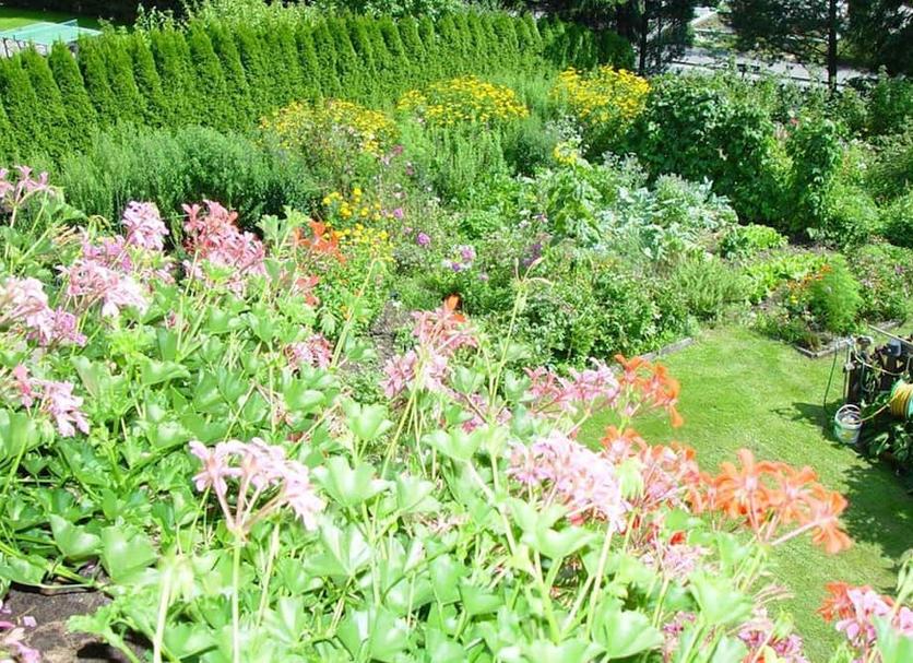 Outdoor view Photo