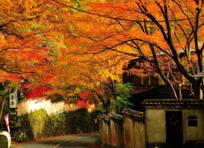 Outdoor view Photo