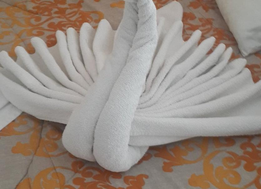 Room amenity Photo