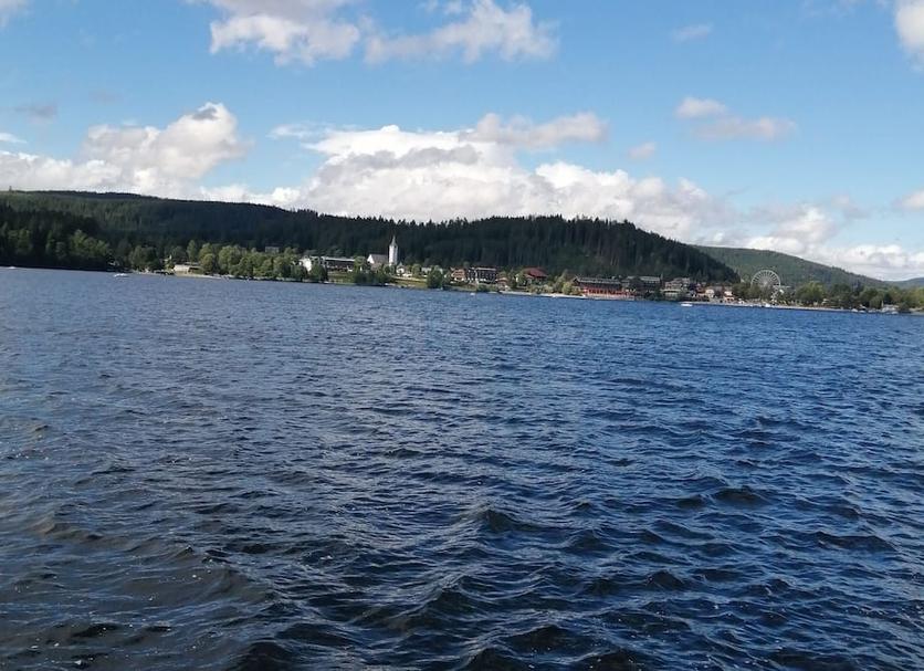 Other Photo