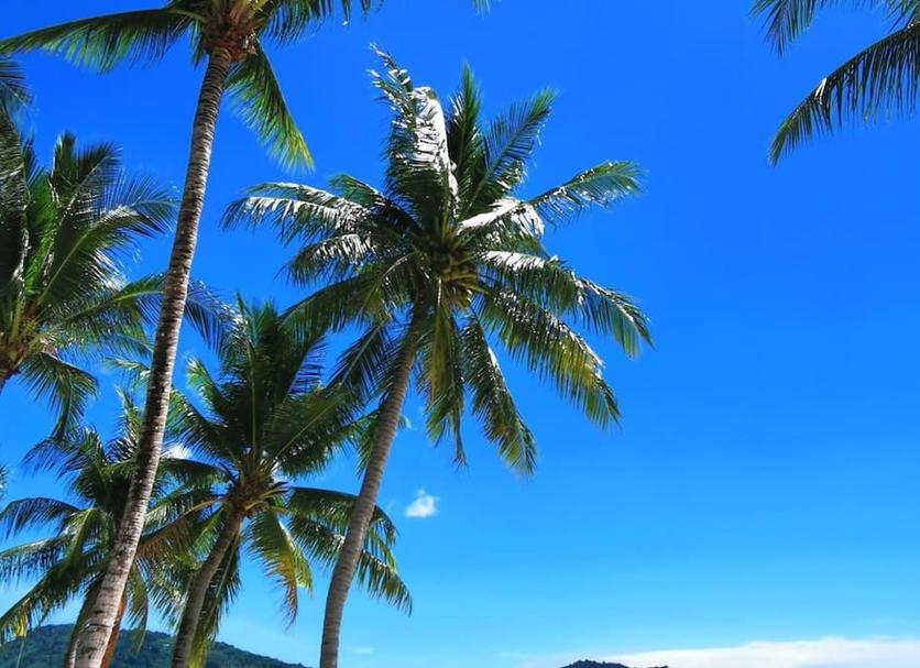 Outdoor view Photo