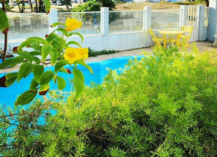 Pool Photo