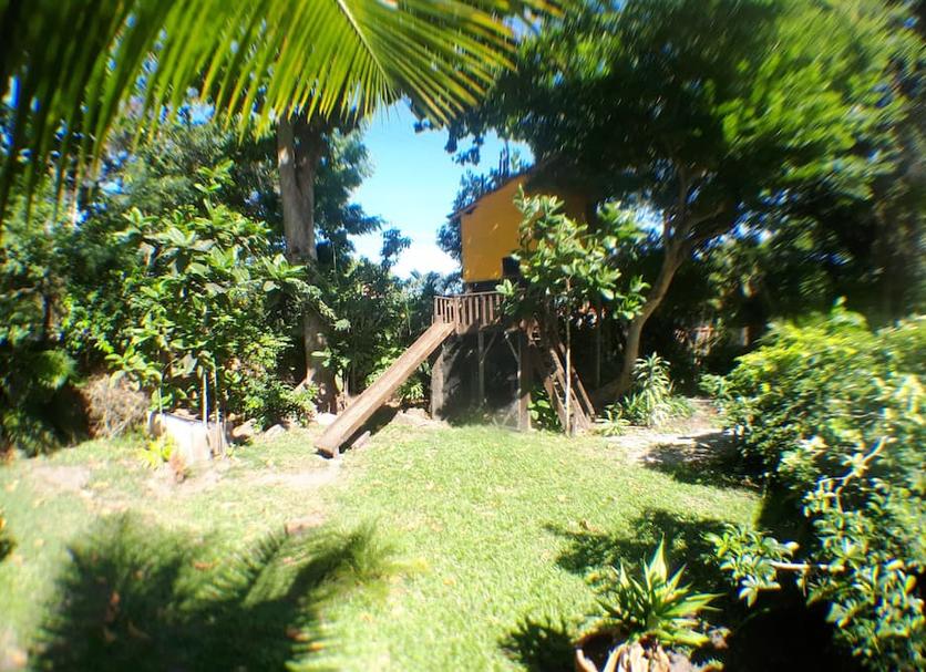 Other Photo