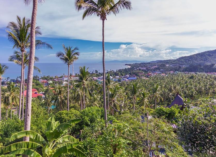 Outdoor view Photo