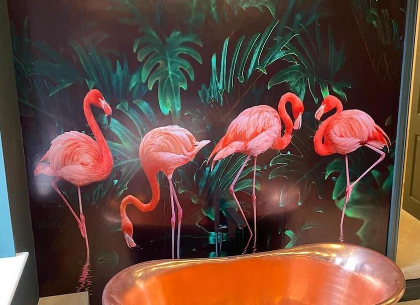 Room amenity Photo