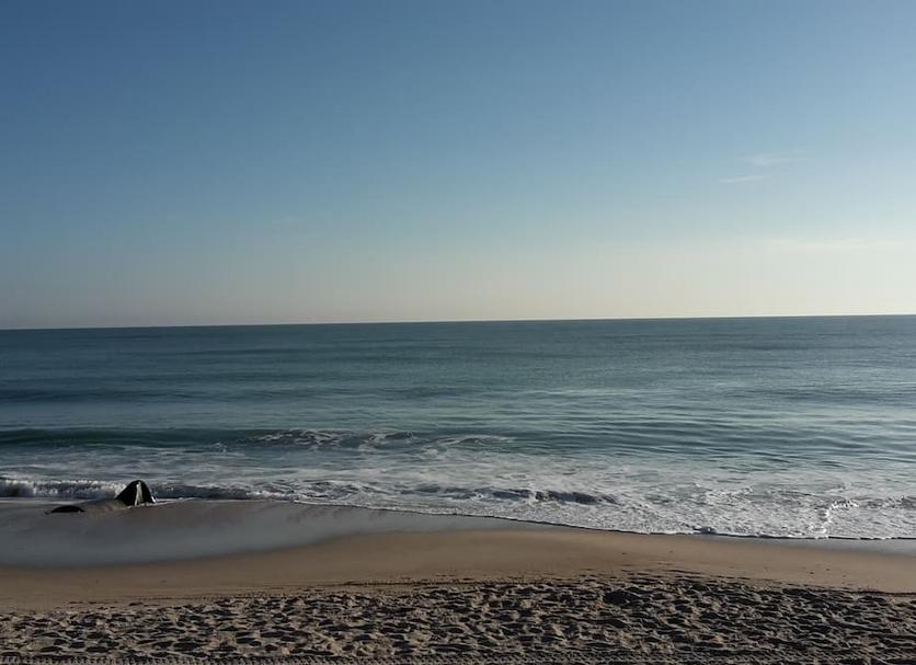 Beach Photo
