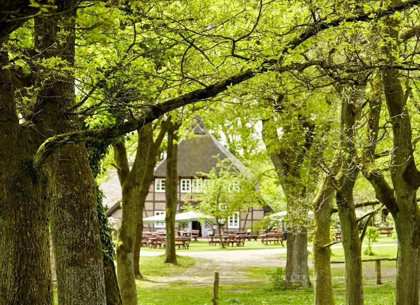 Outdoor view Photo
