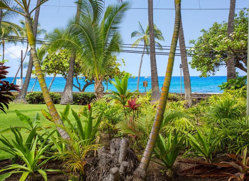 Outdoor view Photo