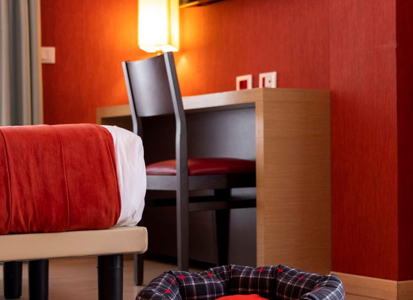 Room amenity Photo