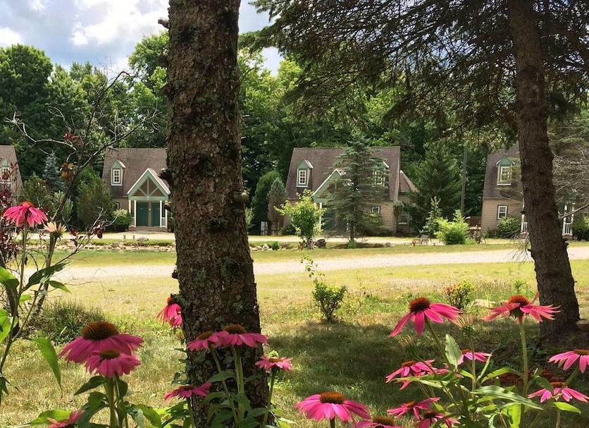 Outdoor view Photo