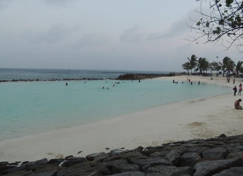 Beach Photo