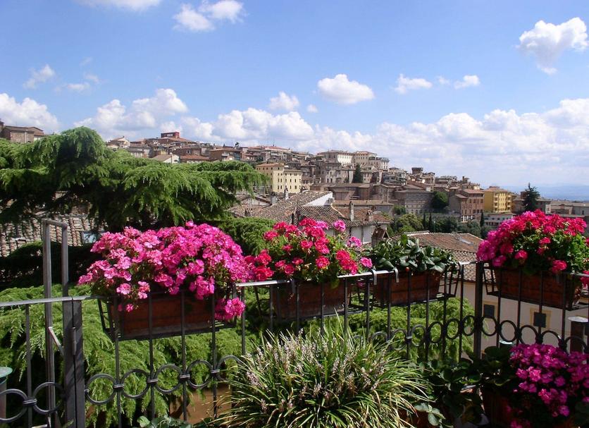 Outdoor view Photo