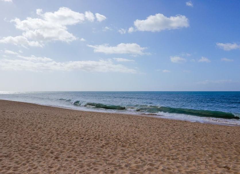 Beach Photo