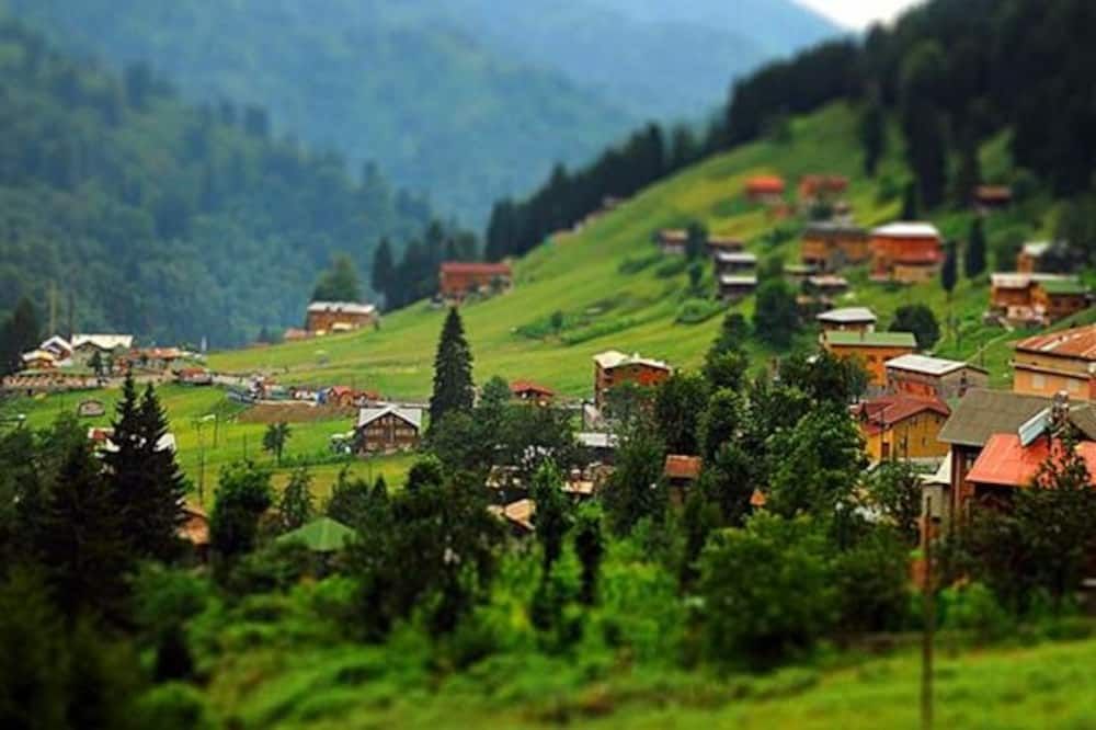 Outdoor view
