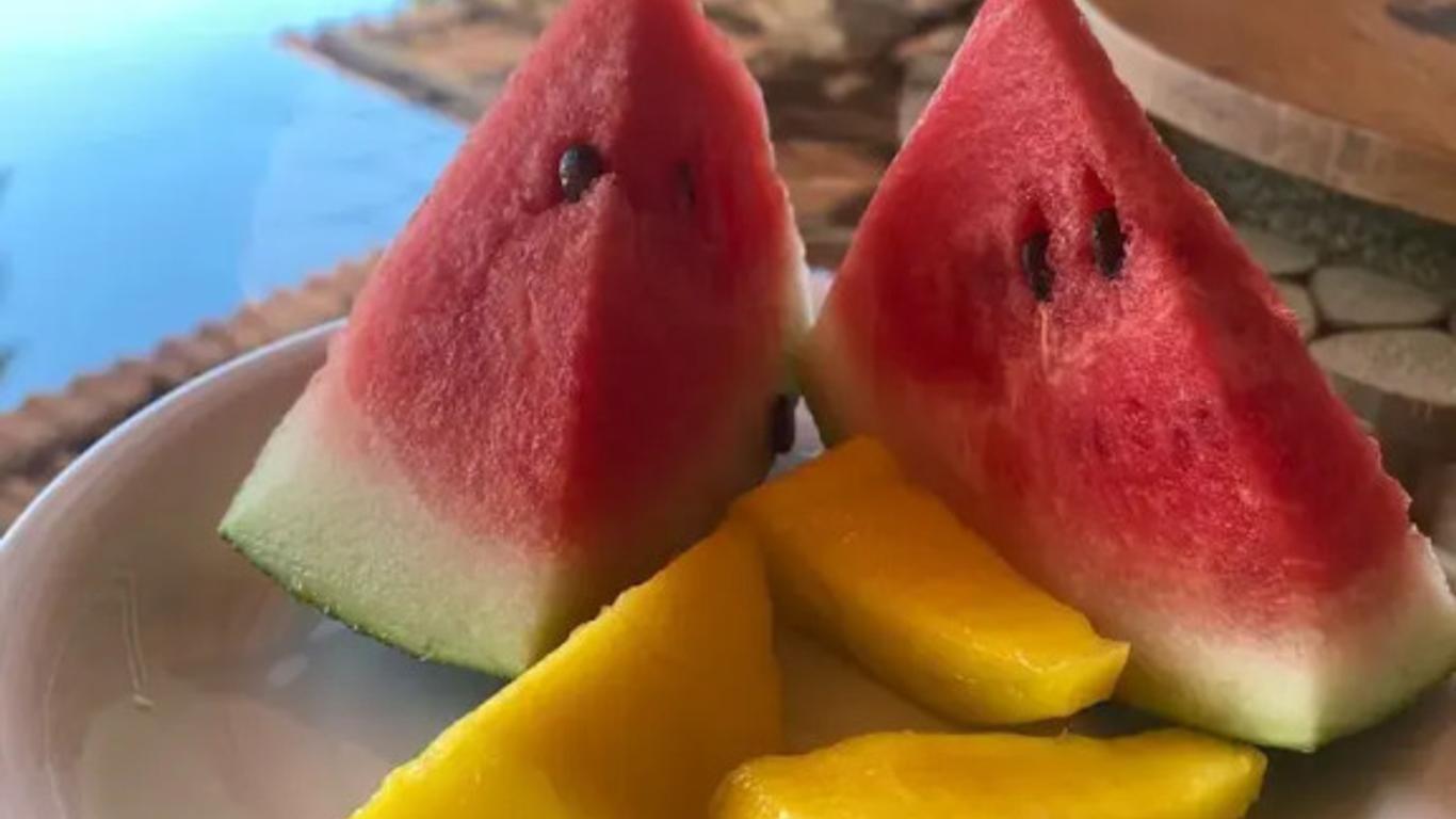 Pousada Paraiso dos Guaras