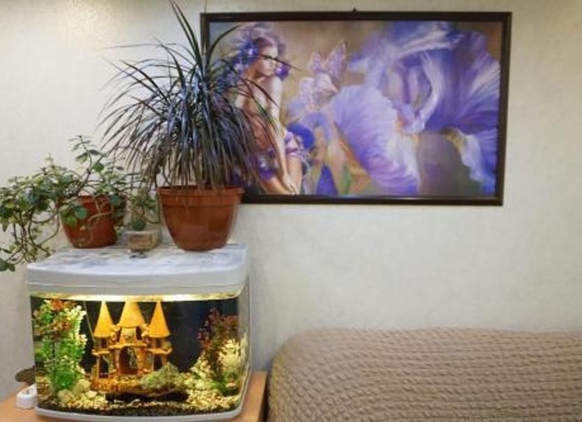 Room amenity Photo