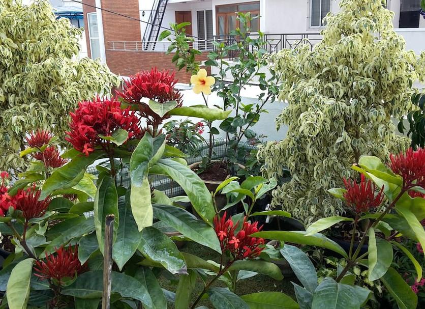 Outdoor view Photo