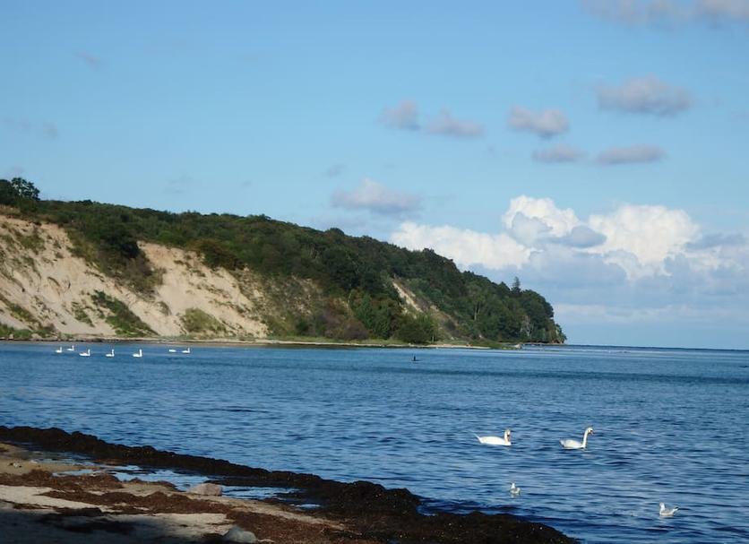 Other Photo