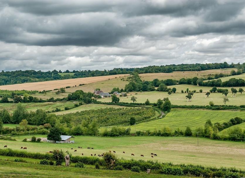 Outdoor view Photo