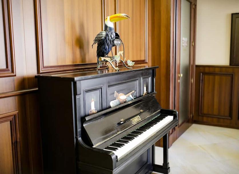 Room amenity Photo