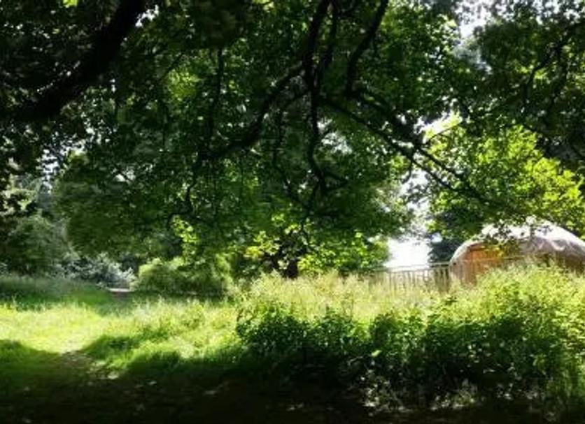 Outdoor view Photo