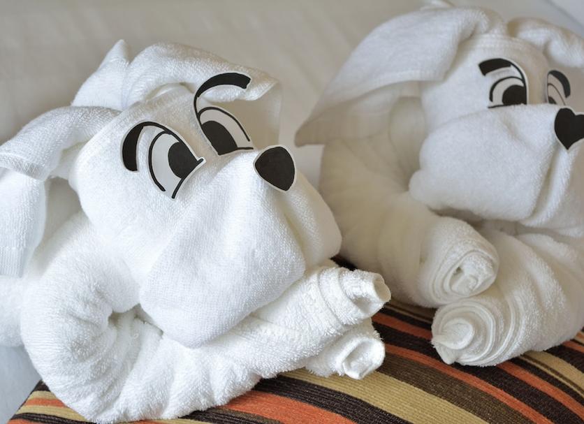 Room amenity Photo