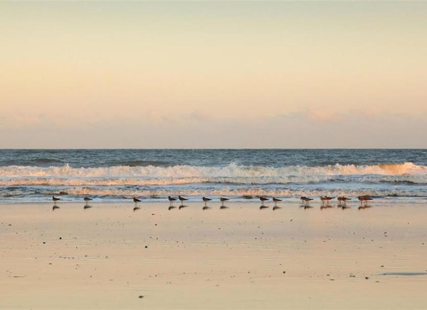 Beach Photo