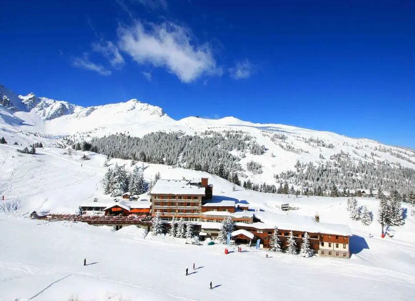 Other Photo