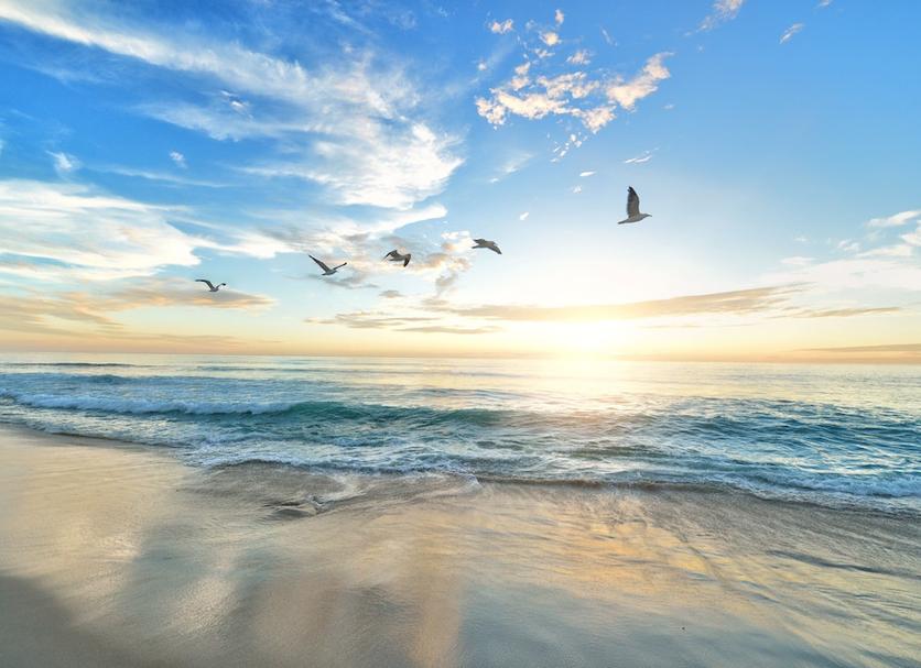 Beach Photo