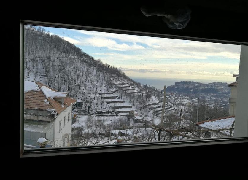 Other Photo