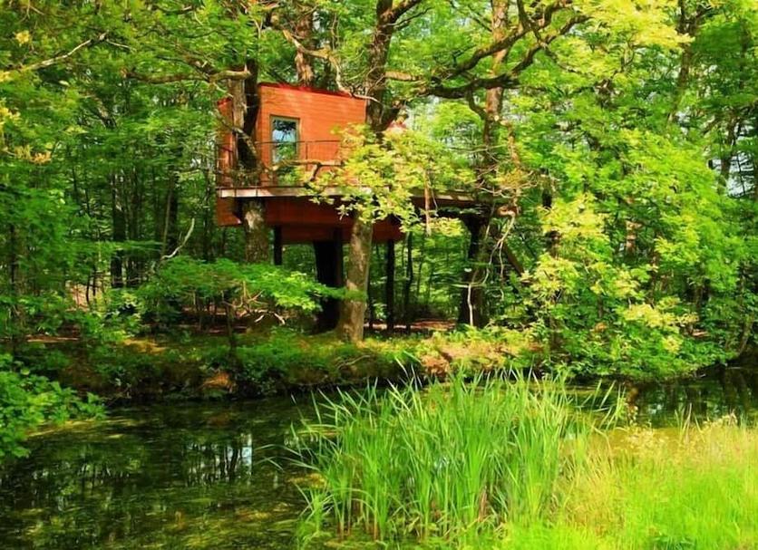 Outdoor view Photo