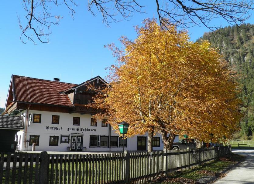 Other Photo