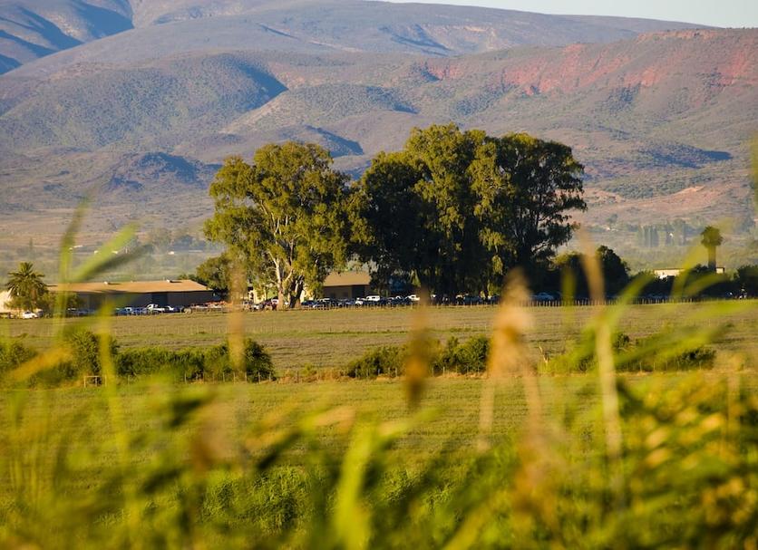 Outdoor view Photo