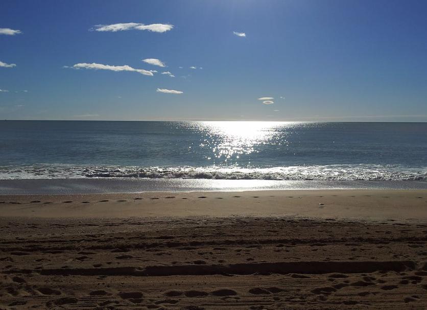 Beach Photo