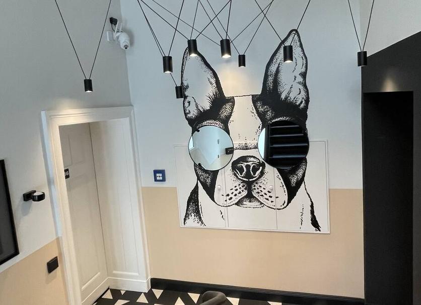 Room amenity Photo