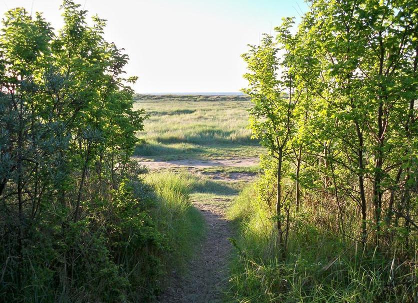 Other Photo
