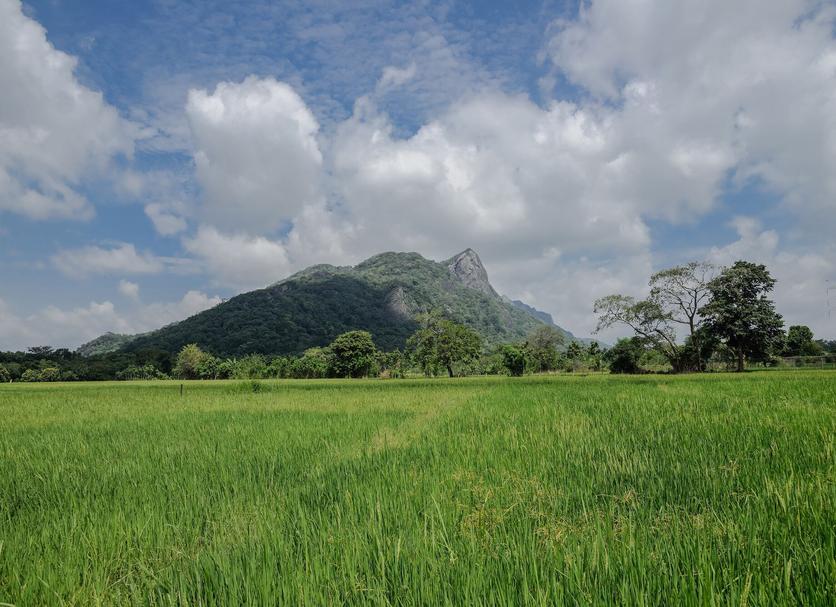 Outdoor view Photo