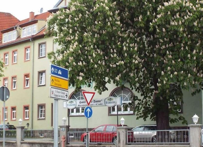 Other Photo