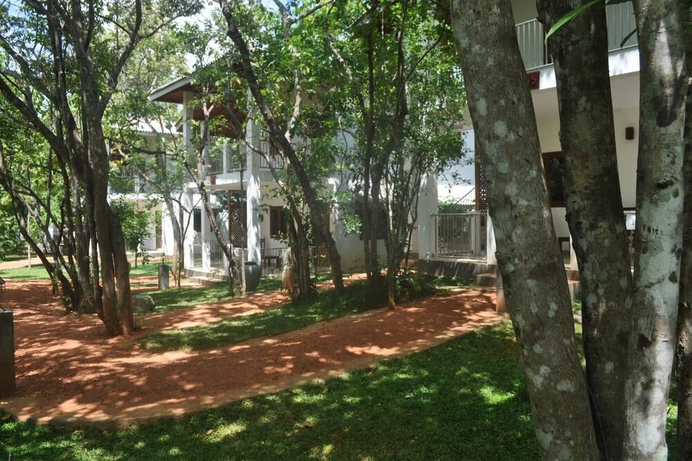 Outdoor view