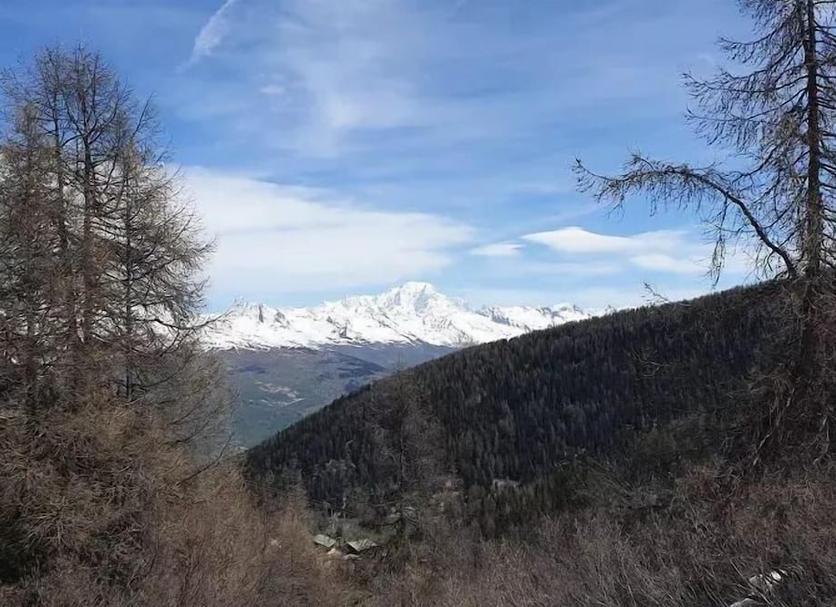 Outdoor view Photo
