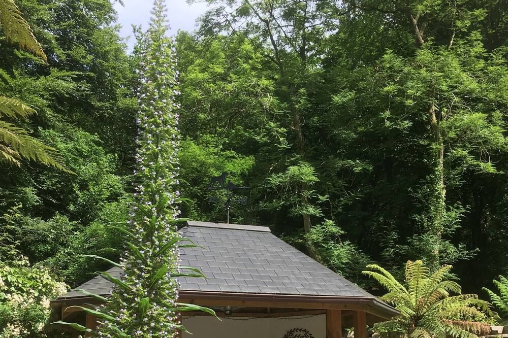 Outdoor view